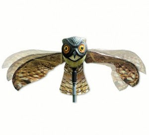buho-espantapajaros buho-espantapajaros