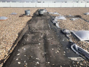 seagull-droppings-on-roof