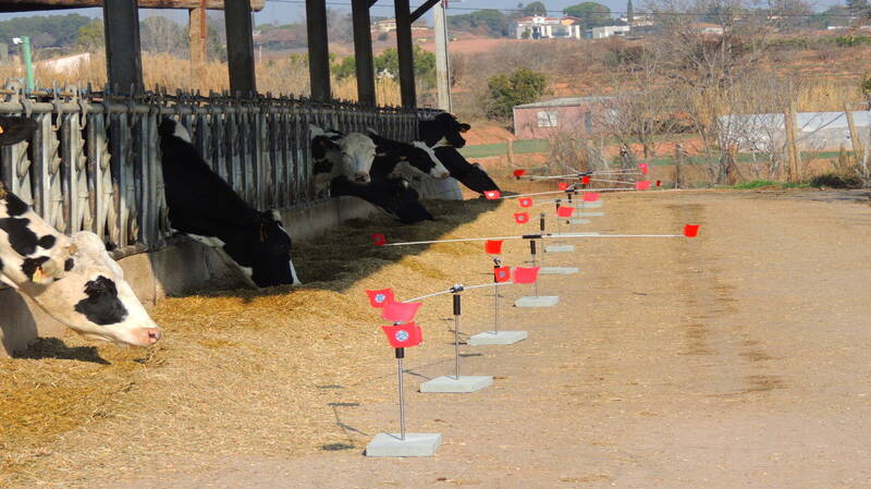 eolo-garden-pigeons-sparrows-not-eating-livestock-feed