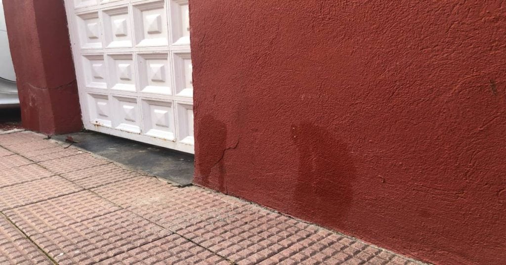 How to prevent dogs from urinating at my door?