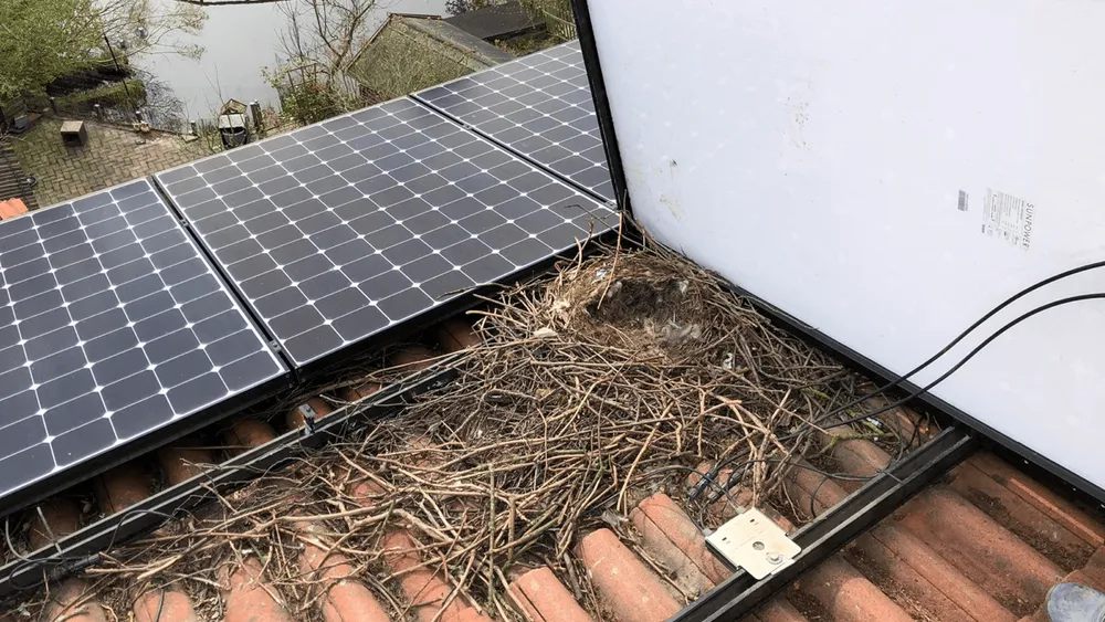 Dirty solar panel on roof with bird debris and twigs