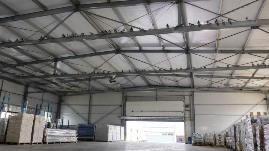 Birds perched on the beams of an industrial building