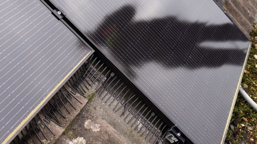 BirdBlocker installed around the perimeter of solar panels to prevent pigeons from getting underneath the panels