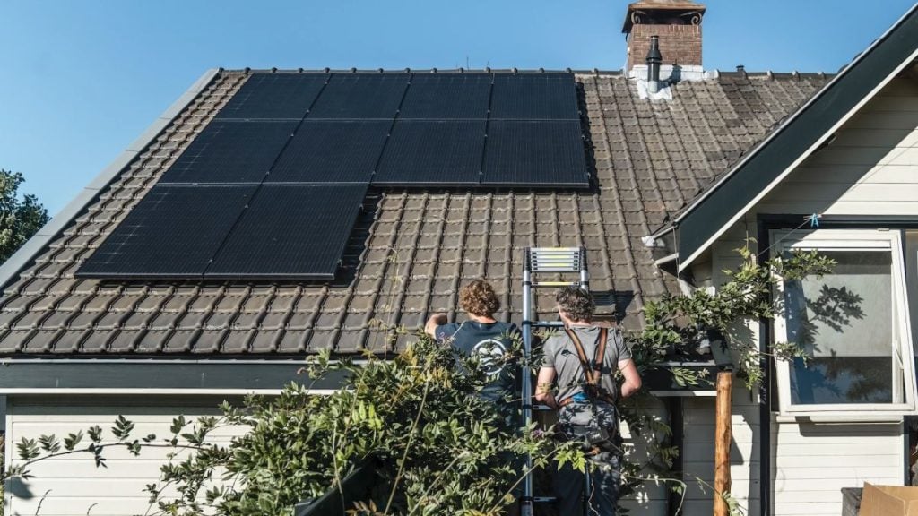 Anti-pigeon protection installed on solar panels to prevent pigeons from getting underneath the panels